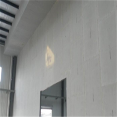 咸宁宁波ALC板|EPS加气板隔墙与混凝土整浇联接的实验研讨